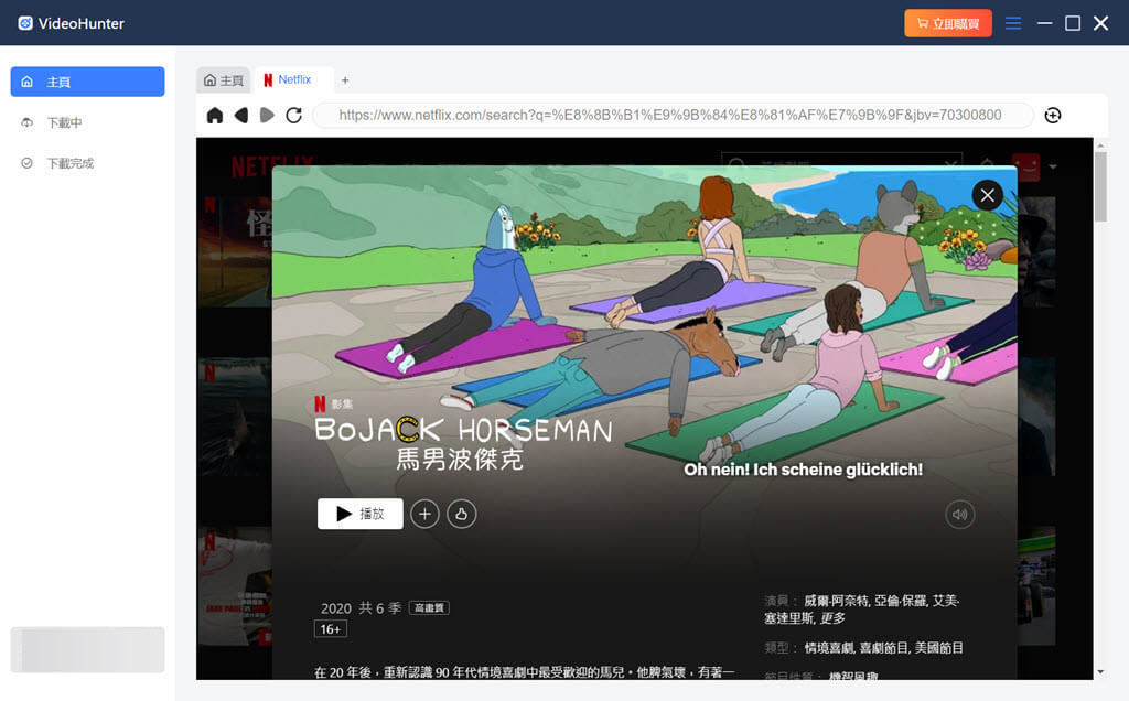 VideoHunter 解析網飛影片