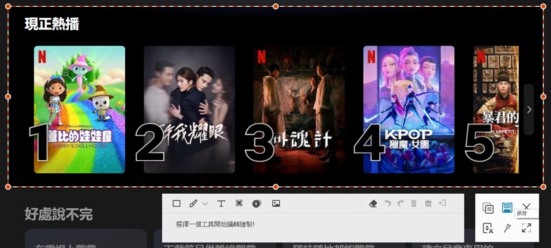 FonePaw Netflix 電腦截圖  
