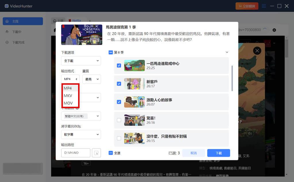 選擇網飛影片的匯出格式